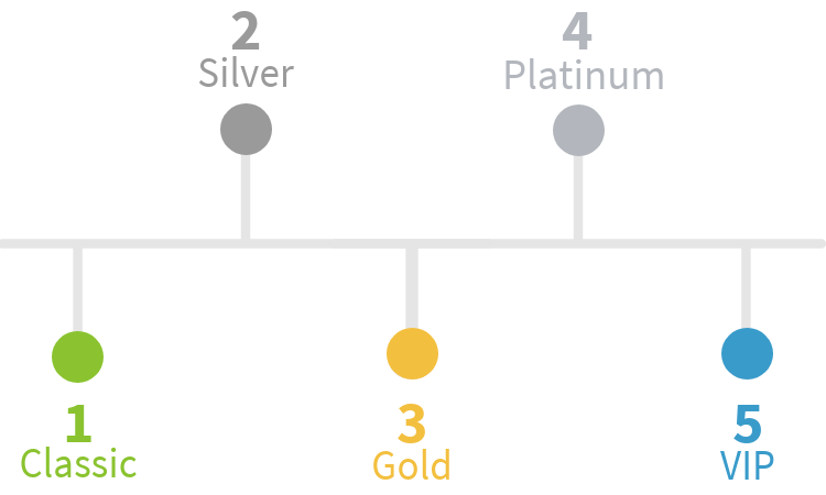 ecoPayz account levels